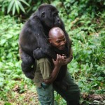 Patrick Karabaranga carrying a Gorilla